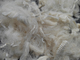 La fibre de haute résistance d'Aramid ignifuge protègent l'habillement